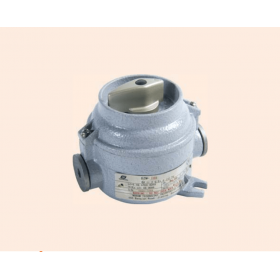 CÔNG TẮC CHỐNG CHÁY NỔ WAROM-BZM