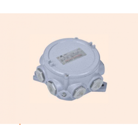 HỘP NỐI CHỐNG CHÁY NỔ WAROM BHD91